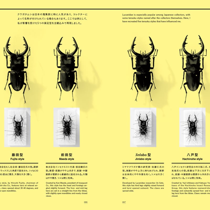 TENSOKU -Insect preparation- / KEIKI FUKUI, KAZ TENSOKU -Insect preparation- / KEIKI FUKUI, KAZ