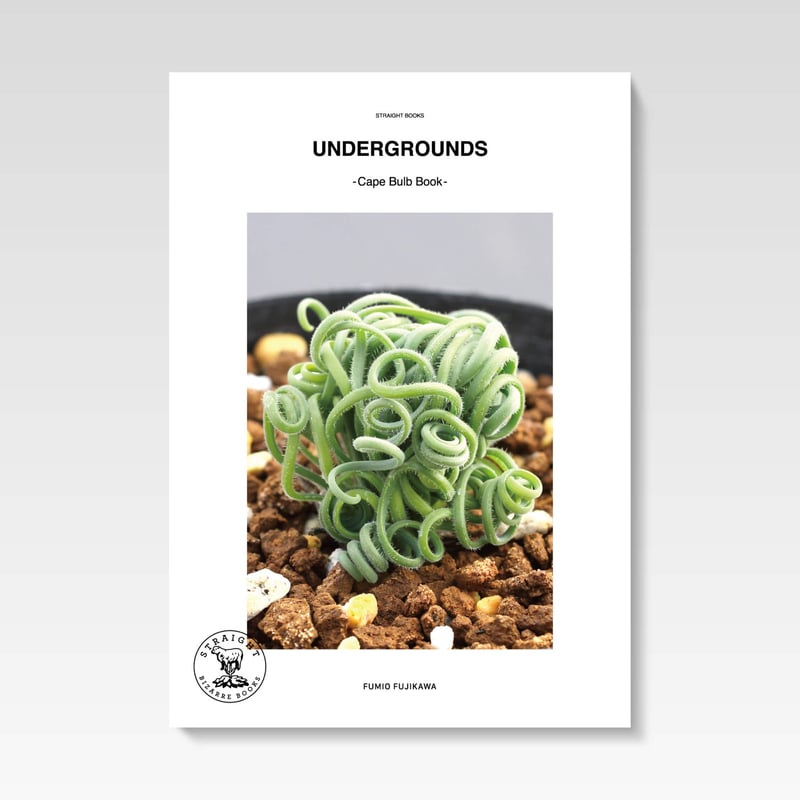 UNDERGROUNDS -CAPE BULB BOOK- / FUMIO FUJIKAWA UNDERGROUNDS -CAPE BULB BOOK- / FUMIO FUJIKAWA