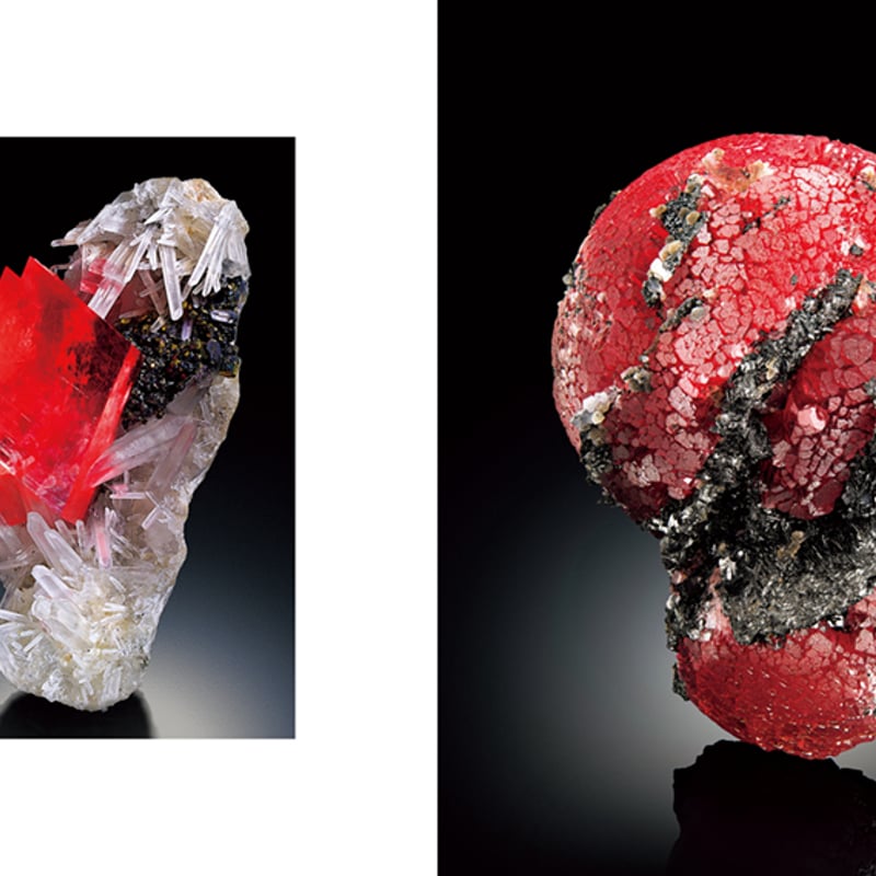 The Wildfang Collection : Where Minerals Meet A