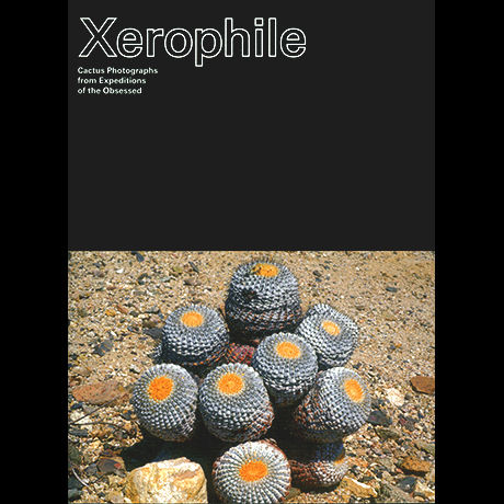 Xerophile / Cactus Store