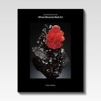 Mo' MIST LOVERS / KEISUKE HASE | STRAIGHT