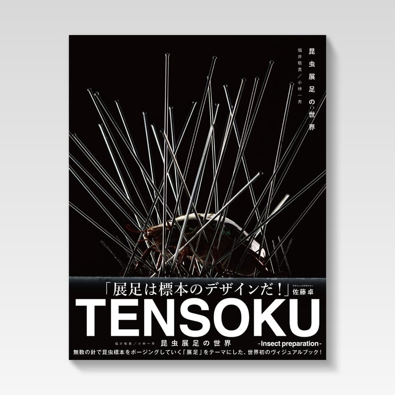 昆虫の不思議 ART No.862 プラモデル 昆虫展足の世界 TENSOKU -Insect preparation- / KEIKI FU
