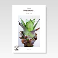 Mo' MIST LOVERS / KEISUKE HASE | STRAIGHT