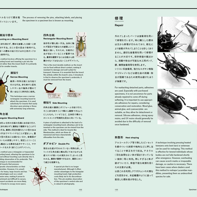 TENSOKU -Insect preparation- / KEIKI FUKUI, KAZ TENSOKU -Insect preparation- / KEIKI FUKUI, KAZ