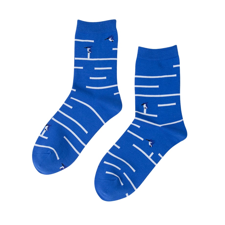 カワセミ ソックス メイン画像