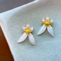 ビオラのピアス・イヤリング Yellow×Purple | viola-viola