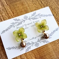 ビオラピアス❁¨̮ ビオラピアス❁¨̮