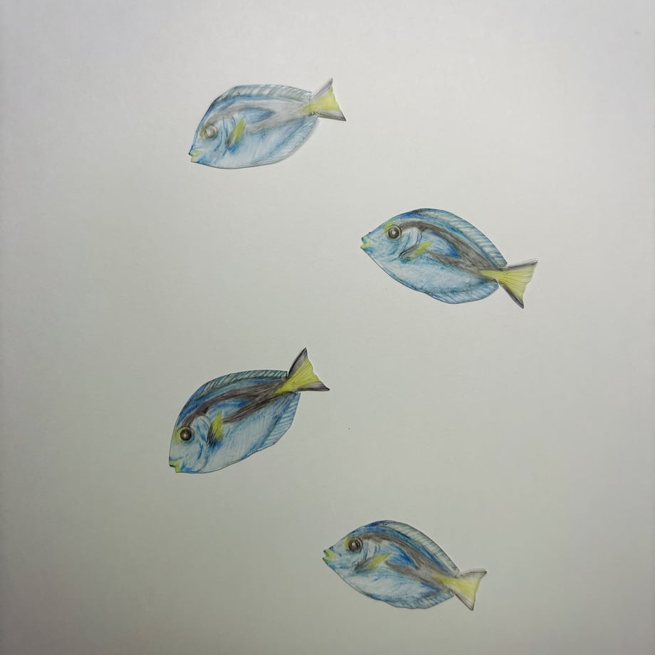 685646c21ef4307e2ce80a5d