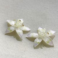 ビオラピアス❁¨̮ fit=scale-down,w=1200