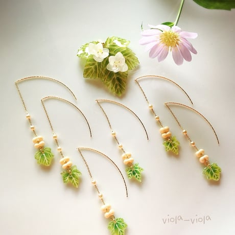 新緑のアメリカンピアス