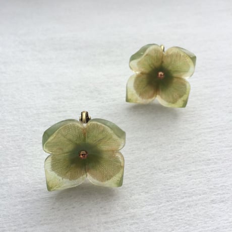 グリーンアジサイのピアス・イヤリング