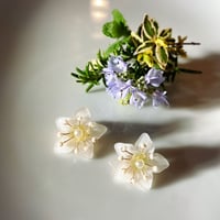 ビオラピアス❁¨̮ fit=scale-down,w=1200