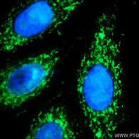 DNA activation （ライトボディー/ダイアモンドクリスタルボディー化）波動調整エッセンス　50ml ミストスプレータイプ