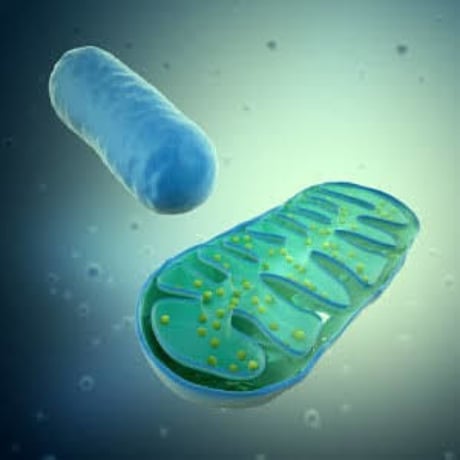 DNA activation （ライトボディー/ダイアモンドクリスタルボディー化）波動調整エッセンス　50ml ミストスプレータイプ