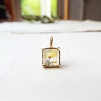 -ミニガーデン-　mini garden No,3　丘の花