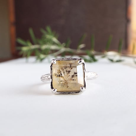 デンドリティッククォーツ | STORES