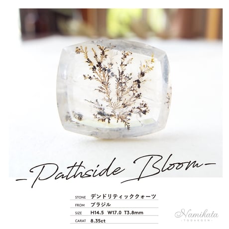 デンドリティッククォーツのネックレス（ナズナ）