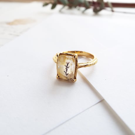 -ミニガーデン-　mini garden ring No,1　杉の芽