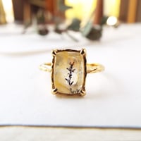 -ミニガーデン-　mini garden ring No,1　杉の芽