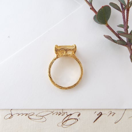 -ミニガーデン-　mini garden ring No,2　朝もや