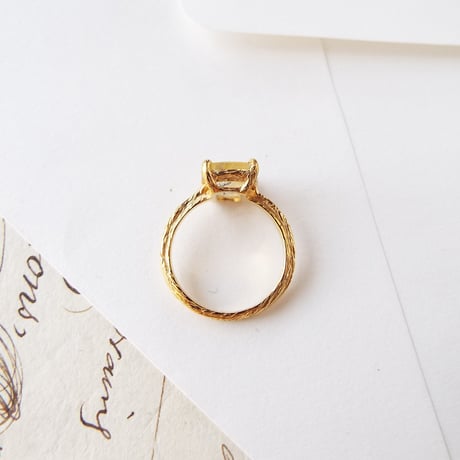 -ミニガーデン-　mini garden ring No,1　杉の芽