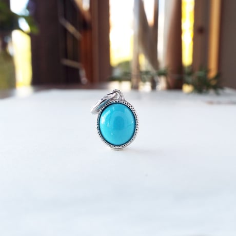 スリーピングビューティーターコイズ | STORES