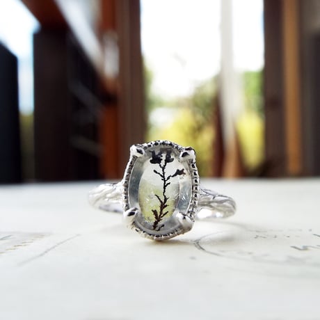 植物標本 | STORES