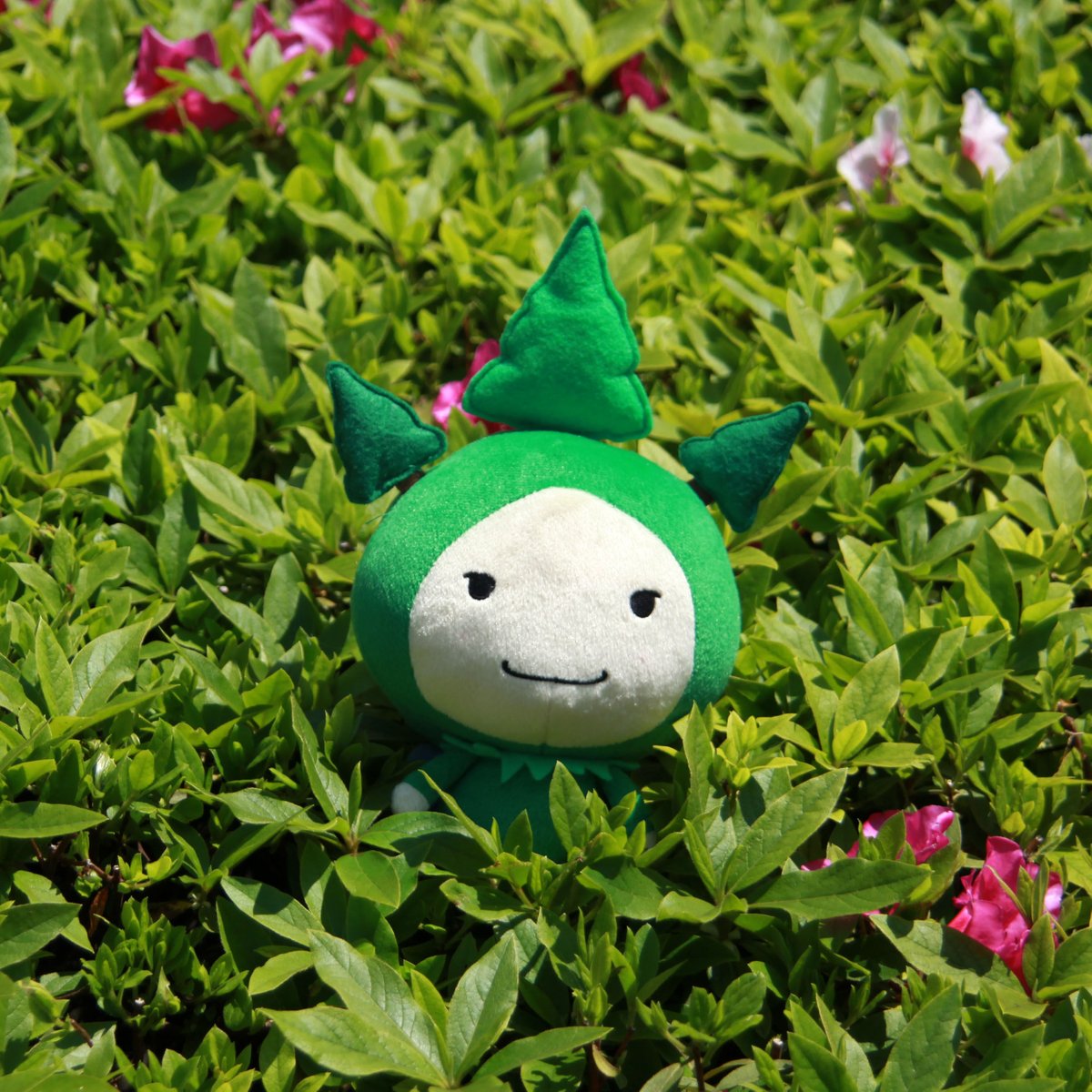 モーリーズぬいぐるみ（小）5体セット | Moories SHOP