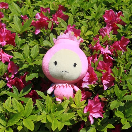 モーリーズぬいぐるみ（小）5体セット