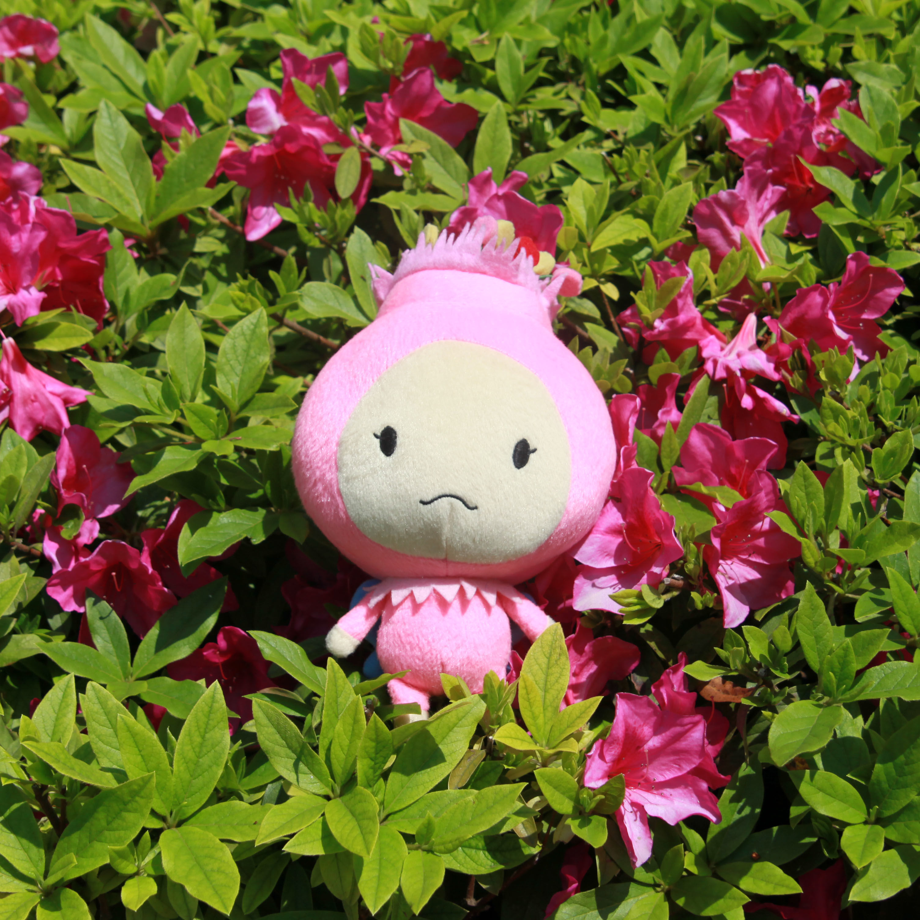 モーリーズぬいぐるみ（小）5体セット | Moories SHOP
