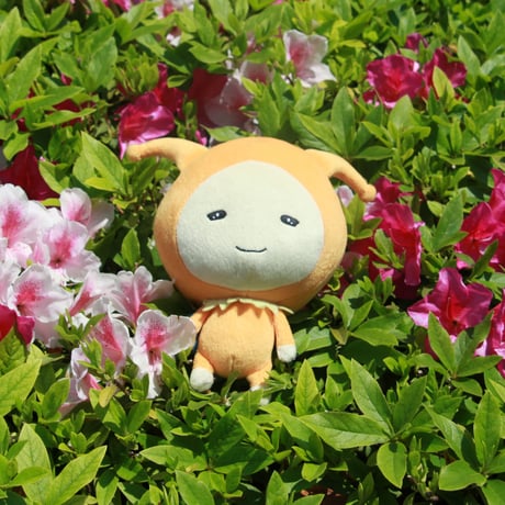 モーリーズぬいぐるみ（小）5体セット