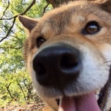 佐賀で筋トレ!カリフォルニア
