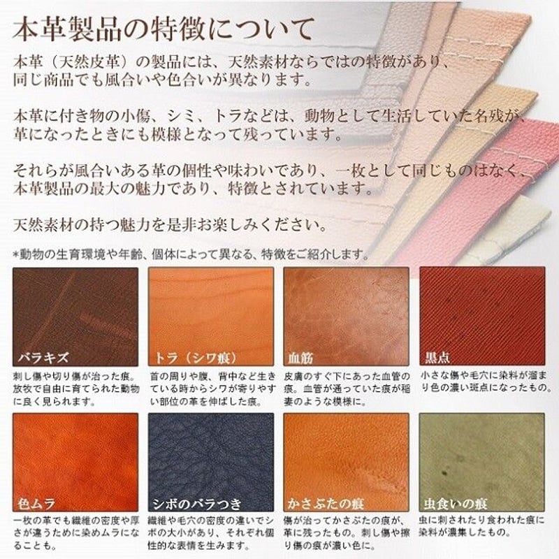 Maturi マトゥーリ 栃木レザー 牛革 コインスルー 縦型カード入れ