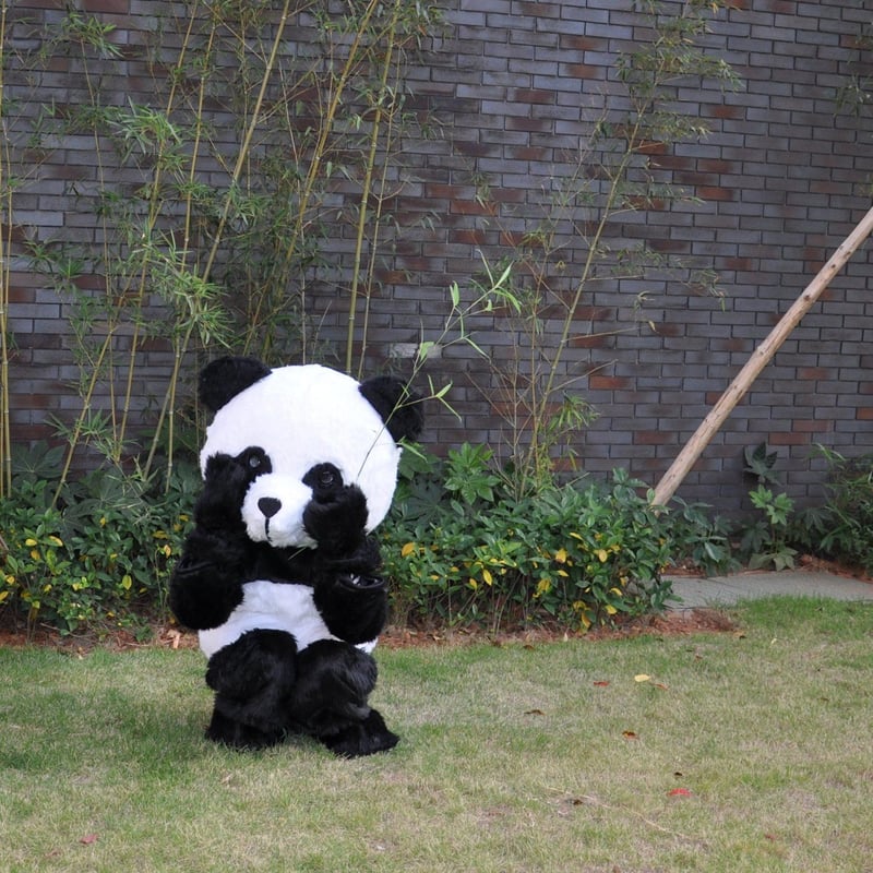 パンダ パンダ着ぐるみ 着ぐるみ 中国製 イベント用品 | Mascotshows