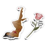TREAT ME LIKE A FLOWER Clear Stickers Set