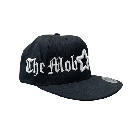 BIG LOGO flat visor cap