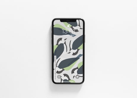 iPhone用壁紙 _2月_シジュウカラ