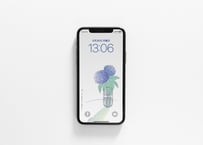 iPhone用壁紙 No.185_6月_梅雨の息抜き／あじさい