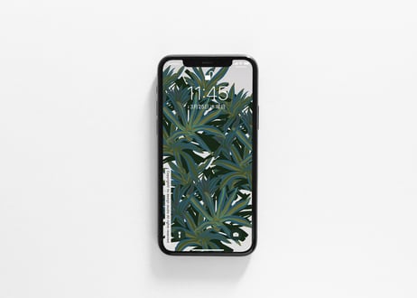 iPhone用壁紙 _4月_ネオレゲリア-緑