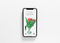 iPhone用壁紙 _2月_TULIPS