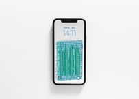 iPhone用壁紙 No.167_8月_オクラ