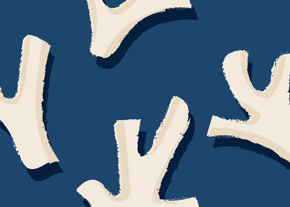 667e54086cfe53016f977700