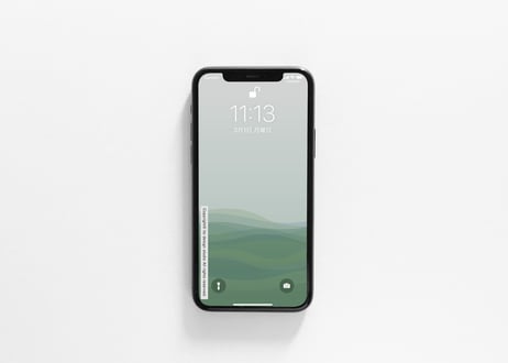 iPhone用壁紙 _3月_green