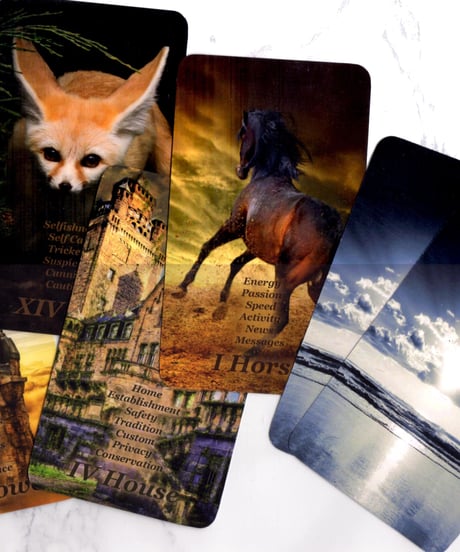 ダークスカイ シリーズ Lenormand