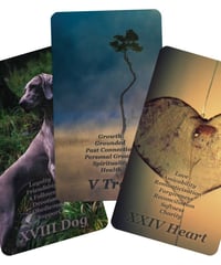 「レアモノ」ミニラベンダールノルマンカード  おまけ付き 90bbf57e81a6c0bbeb39979ab8c10d