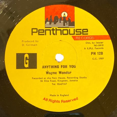 ANYTHING FOR YOU / FAST CAR / WAYNE WONDER (12インチレコード)