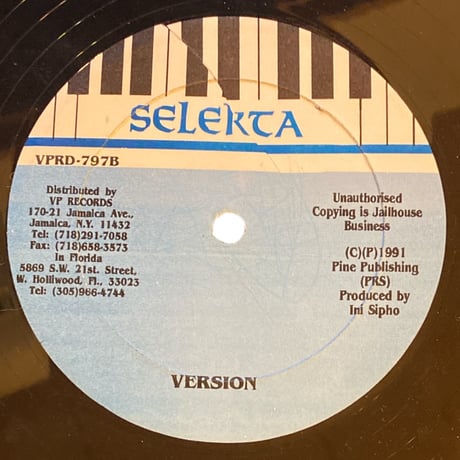 SEND ANOTHER SOUND HOME / INI KAMOZE (12インチレコード)