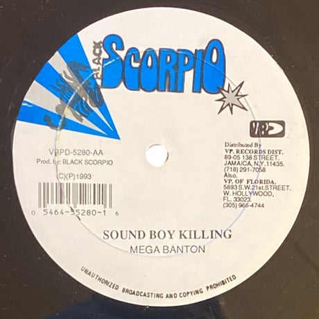 SOUND BOY KILLING / MEGA BANTON (12インチレコード)