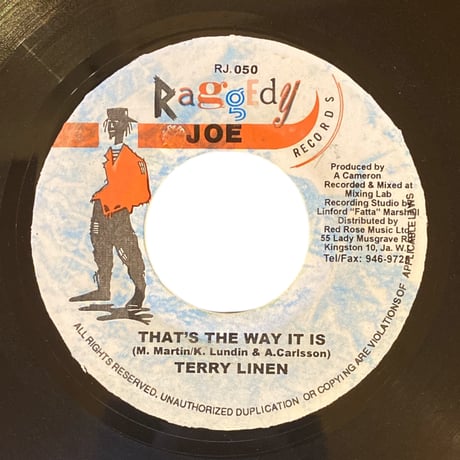 THAT'S THE WAY IT IS / TERRY LINEN (7インチレコード)
