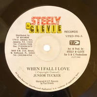 WHEN I FALL IN LOVE / JUNIOR TUCKER (12インチレコード)